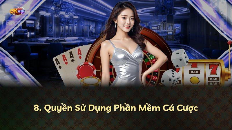 8. Quyền Sử Dụng Phần Mềm Cá Cược