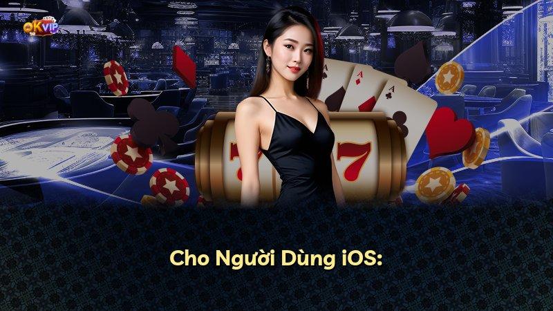 Cho Người Dùng iOS:
