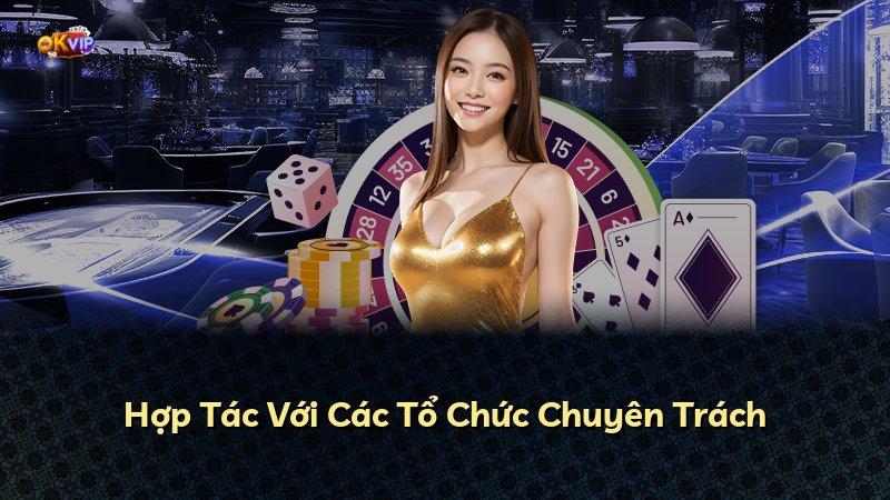 Hợp Tác Với Các Tổ Chức Chuyên Trách